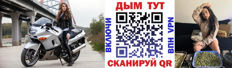 Каннабис сатива Поворино